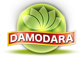 damodara-logo