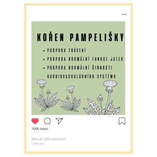 Smetanka lékařská 💛 Kořen pampelišky má nespočet benefitů pro zdraví. Nejčastěji se využívá pro přípravu nápoje, který je...