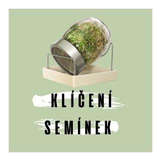 Klíčíte doma semínka? 🌱 Pokud ne, tak byste měli určitě začít. ☺️ #kliceni #nestonej #zdravyzivotnystyl #vitamíny...